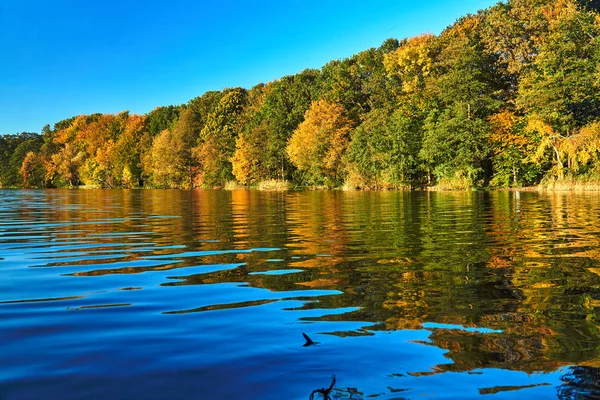 波兹南秋天在湖面上五颜六色的树木 — 图库照片