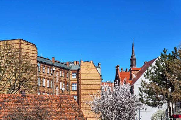 Ein Weiß Blühender Baum Und Ein Rotes Backsteinhaus Mit Einem — Stockfoto