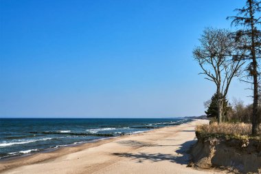 Polonya'da kumlu bir plaj ve ahşap breakwaters ile Baltık Denizi'nin engebeli sahil