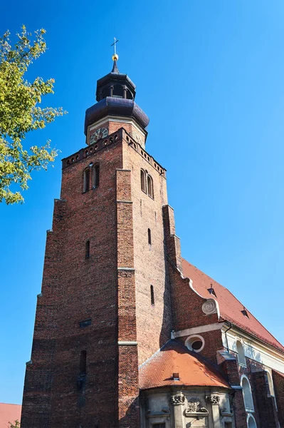 Glockenturm Der Gotischen Kirche Der Stadt Leszno — Stockfoto