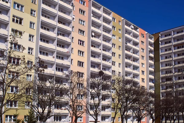 Ramas Árbol Contra Fachada Moderno Edificio Residencial Poznan — Foto de Stock