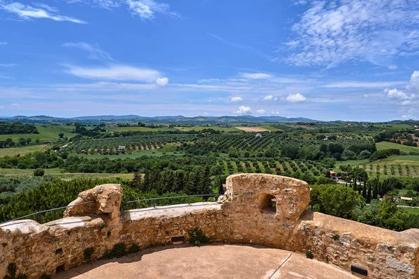 Medieval fortified tower and rural landscape with olives in Tuscany, Italy