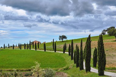 Toskana bir tepede bir kırsal eve yolda cypresses