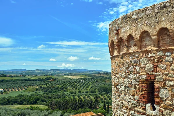 Середньовічні Укріплені Вежі Сільські Пейзажі Оливками Тоскані Італія Стокове Фото