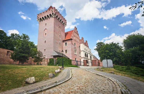 Camino Empedrado Hacia Castillo Real Medieval Reconstruido Poznan — Foto de Stock