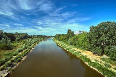 Poznan kentinde Warta Nehri kıyısında ağaçlar