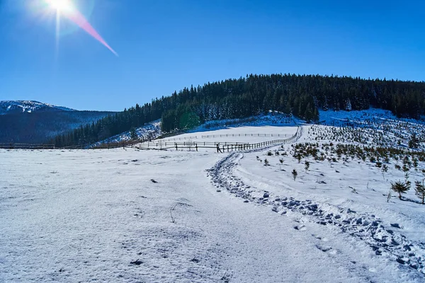 Nieve Cubierta Glade Turista Invierno Sendero Senderismo Las Montañas Beskidy — Foto de Stock