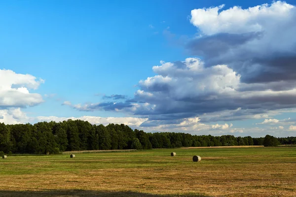 Agrarlandschaft Nach Der Sommerernte Polen — Stockfoto