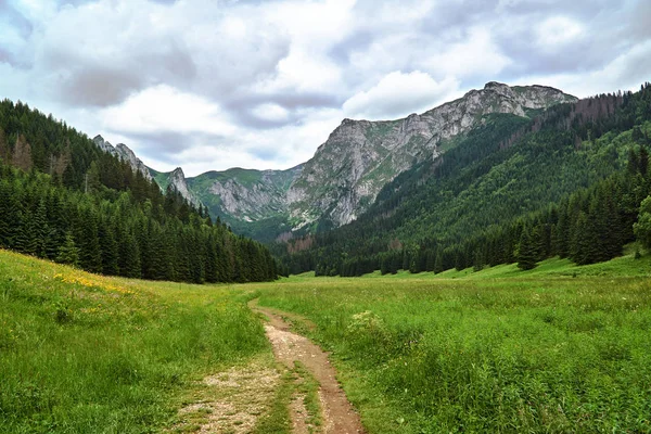 Polonya Tatra Dağları Dağları Nda Bahar Vadisinde Ülke Yolu — Stok fotoğraf