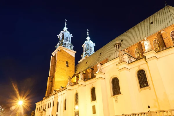 Statyer Den Gotiska Katedralen Kyrkan Natten Gniezno — Stockfoto