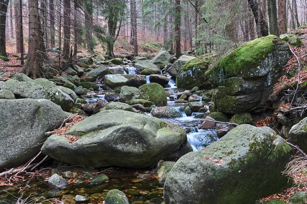 Mountain Stream Forest Giant Mountains Poland — Stock Photo, Image