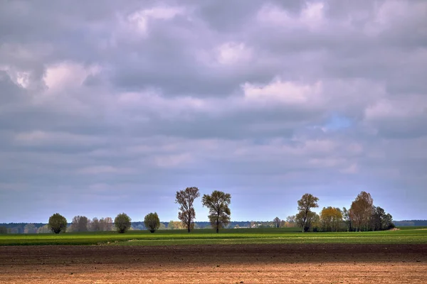 Paysage Rural Avec Chaume Arbres Prairies Été Pologne — Photo