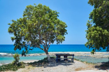 Yunanistan'ın Rodos adasında sahilde bir ağacın altında ahşap bir bank