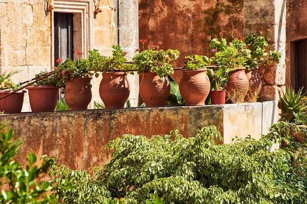 Growing herbs in pots at an orthodox monastery on the island of Crete, Greece