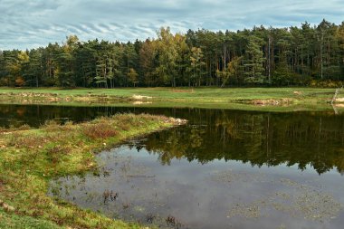 Polonya 'da sonbahar boyunca Warta nehri üzerindeki çayır ve ormanın manzarası nehir yatağı ve manzarası