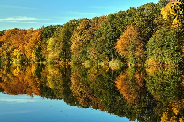 在波兰秋天 五彩缤纷的树叶在湖边飘扬 — 图库照片