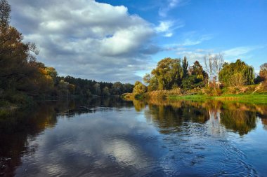 Polonya 'da sonbahar boyunca Warta nehri üzerindeki çayır ve orman