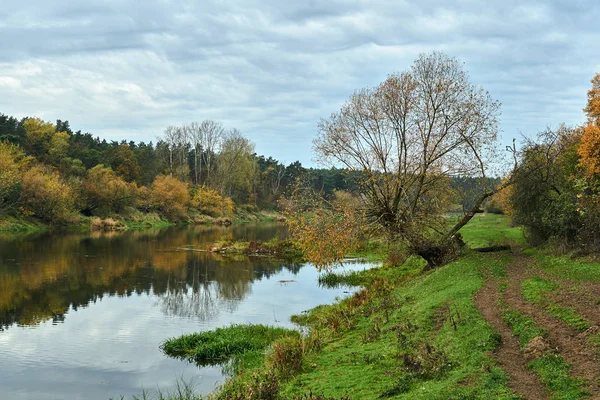 Łąki Drzewa Liściaste Nad Rzeką Wartą Jesienią Polsce — Zdjęcie stockowe