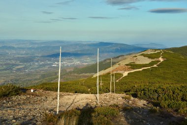 Polonya 'daki Dev Dağlar' da sonbaharda sürünen çam ağaçlarındaki turistik patikada kutuplar