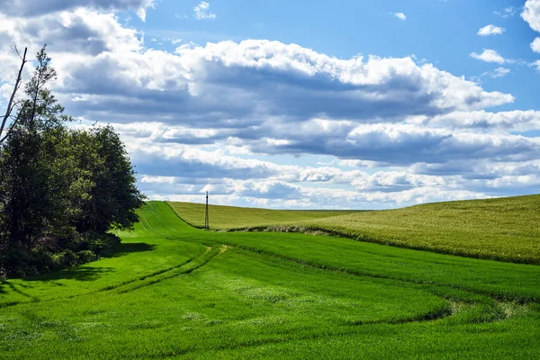 Paesaggio Rurale Con Campi Coltivabili Una Giornata Nuvolosa Polonia — Foto Stock