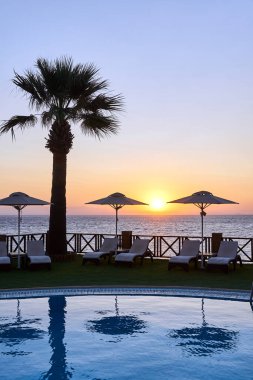 Yunanistan 'ın Zakynthos adasının sahilinde gün doğumunda yüzme havuzu üzerinde palmiye ağaçları