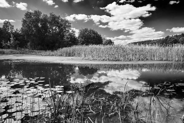 Paisagem Rural Com Lago Dia Nublado Polônia Preto Branco — Fotografia de Stock