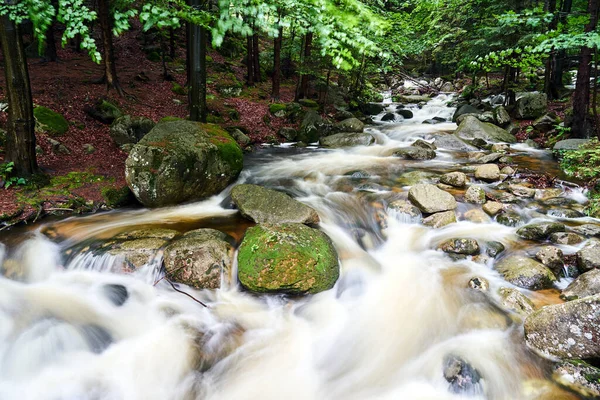 Rocks Boulders Mountain Stream Forest Giant Mountains Poland — Stock Photo, Image