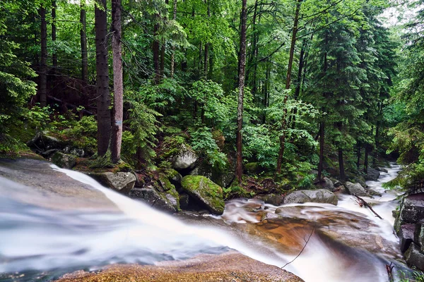 Rocks Boulders Mountain Stream Forest Giant Mountains Poland — Stock Photo, Image