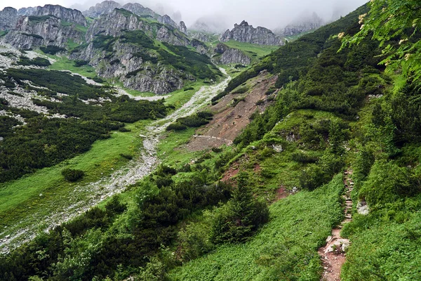 波兰鞑靼人山中有高山松木和石灰岩的山坡 — 图库照片