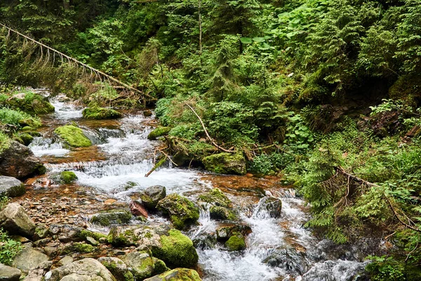 Boulders Rapid Stream Forest Valley Tatra Mountains Poland — Stock Photo, Image