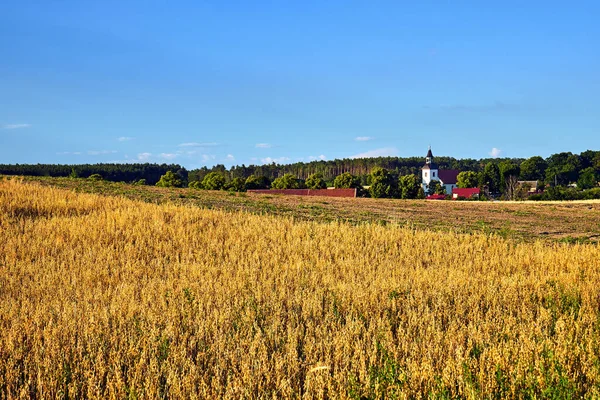 Een Landelijk Landschap Met Akkerland Een Klokkentoren Een Bos Zomer — Stockfoto