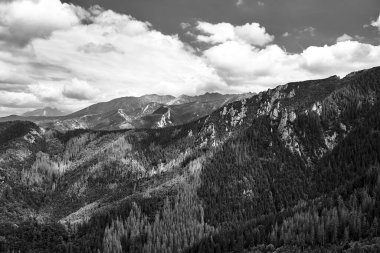 Dağlarda çam ve kireç taşı olan bir dağ yamacı Polonya 'da Tatry, siyah ve beyaz