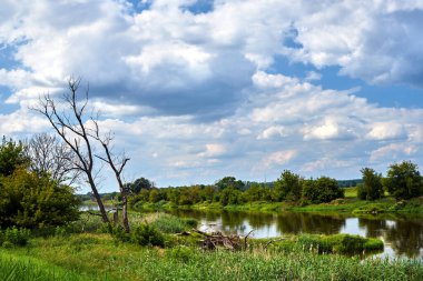 Polonya 'da yaz boyunca çayır ve Warta Nehri ile kırsal alan