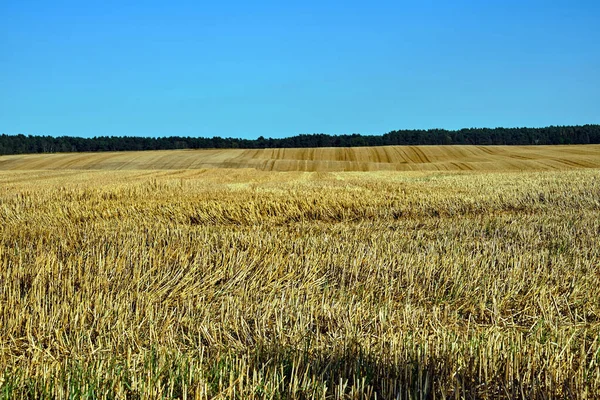 Paisaje Rural Con Campos Cultivo Después Cosecha Polonia —  Fotos de Stock