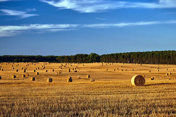 Paisagem Rural Com Campos Aráveis Após Colheita Polónia — Fotografia de Stock