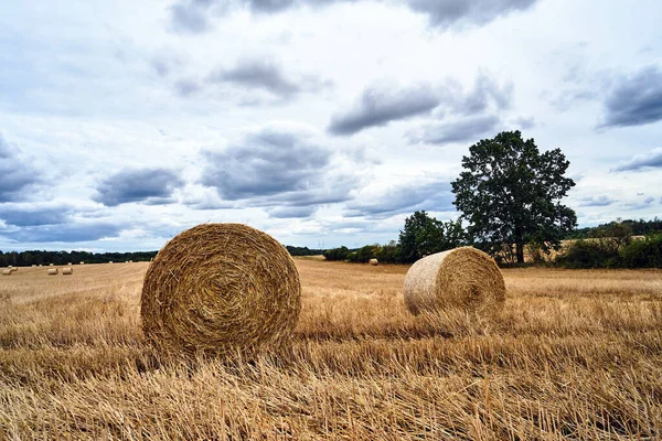 Paysage Rural Avec Balles Paille Dans Les Champs Arables Après — Photo