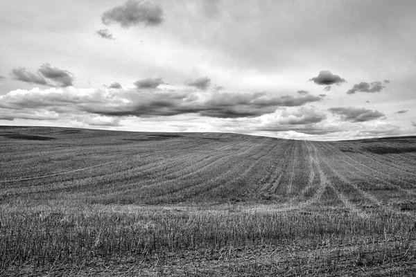 Venkovská Krajina Ornou Půdou Sklizni Polsku Černobílá — Stock fotografie