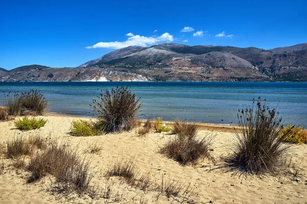 Hierba Orilla Arenosa Bahía Paliki Isla Cefalonia Grecia — Foto de Stock