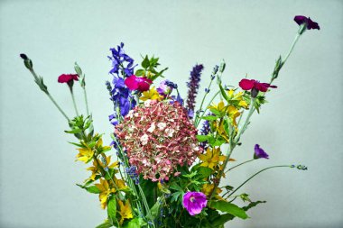 Bir buket renkli kır çiçekleri gri arka planda, Polonya