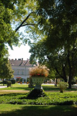 Çiçek ve bitki evi zemin üzerine seramik tencerede