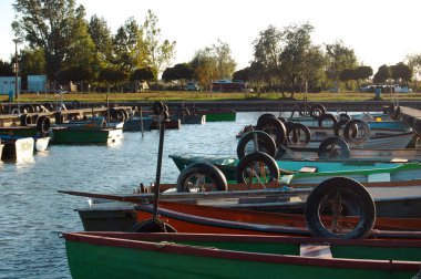 Yeşil ağaçlar arka plan gemilerde demirleme