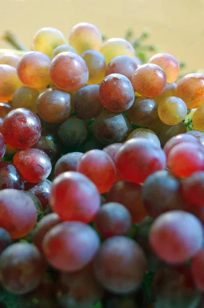 Racimos Uva Colores Maduros Como Fondo — Foto de Stock