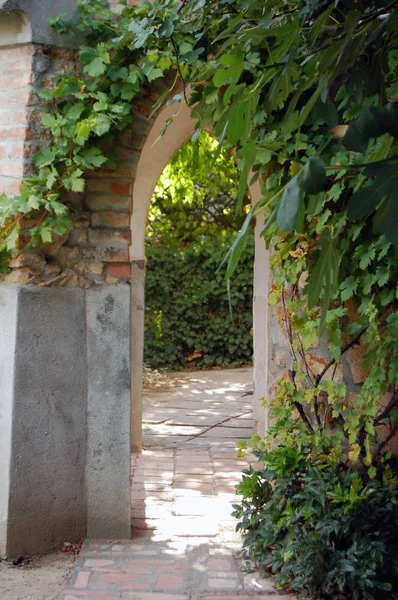 Dış tuğla duvar kemer ve yeşil bitkiler ile antik Tapınağı