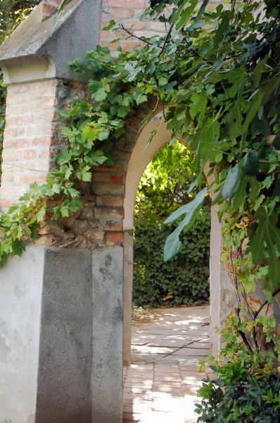 Exterior Ancient Temple Arch Green Plants Brick Wall — Stock Photo, Image