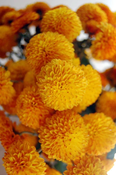 Güzel Sarı Kasımpatı Buket Masanın Üzerine Yerleştirilen — Stok fotoğraf