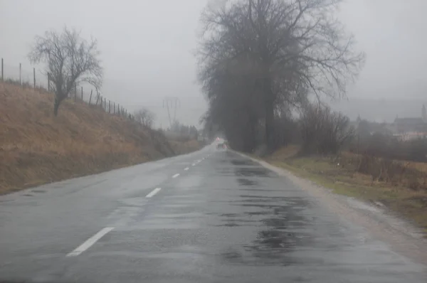 Вибірковий Фокус Дороги Дерев Під Час Осіннього Дощу Сірим Небом — стокове фото