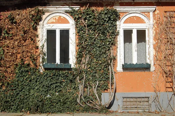 Vooraanzicht Van Gevel Van Gebouw Vallende Blaadjes — Stockfoto