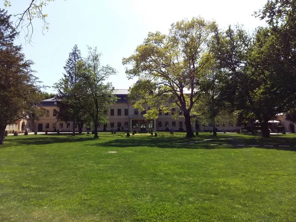 green lawn and trees near big old building on sunny day