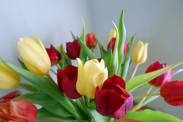 Primer Plano Ramo Tulipanes Amarillos Rojos — Foto de Stock