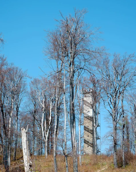 High Building Ledder — Stock Photo, Image